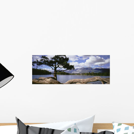 Tree And Fallen Tree Beside Lake Beauvert Wall Mural