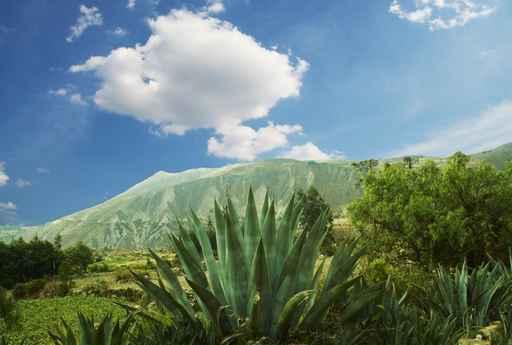 South America Landscape Wall Decal