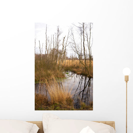 Landscape Wall Mural
