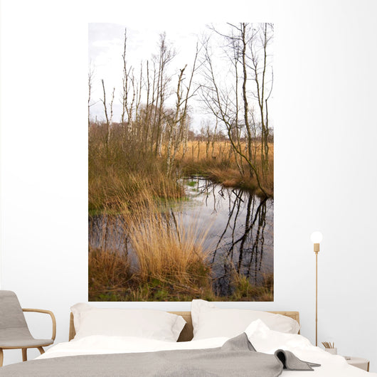 Landscape Wall Mural