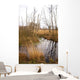Landscape Wall Mural