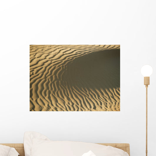 Ripples In Sand Dune, Close Up Wall Mural