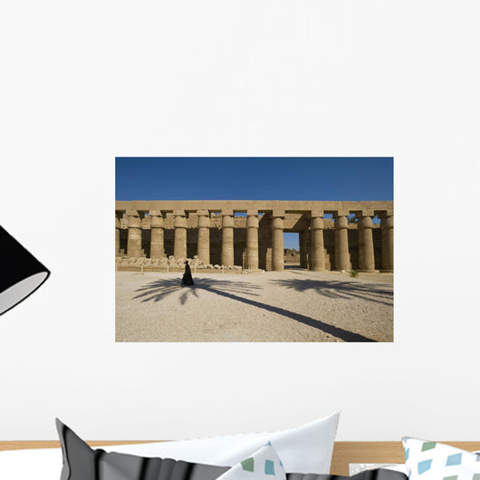 Man Walking Past Shadow Of Date Palm In Forecourt Wall Mural