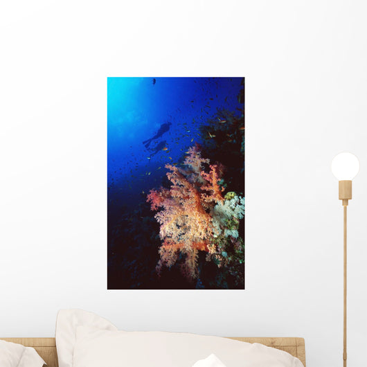 Two Silhouetted Divers Behind Soft Corals In The Red Sea Wall Mural