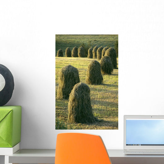 Hay Stacks Lined Up In Green Fields Wall Mural