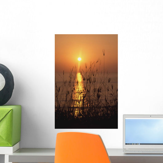 Sunset Over Pacific Wall Mural