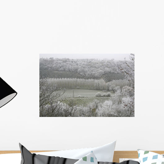 Morning Frost In December At Castelnau-Montratier Wall Mural