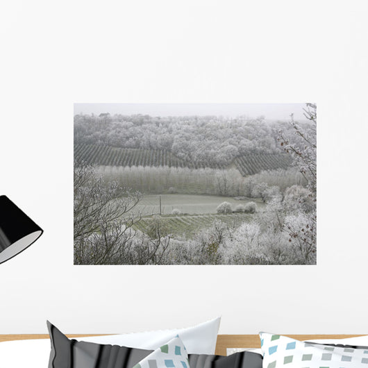 Morning Frost In December At Castelnau-Montratier Wall Mural