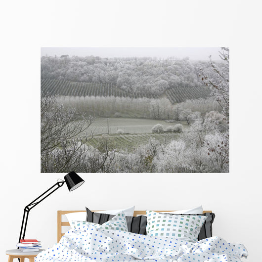 Morning Frost In December At Castelnau-Montratier Wall Mural