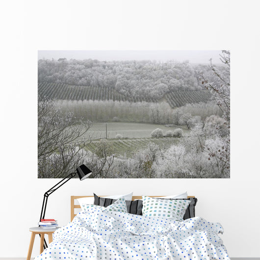 Morning Frost In December At Castelnau-Montratier Wall Mural