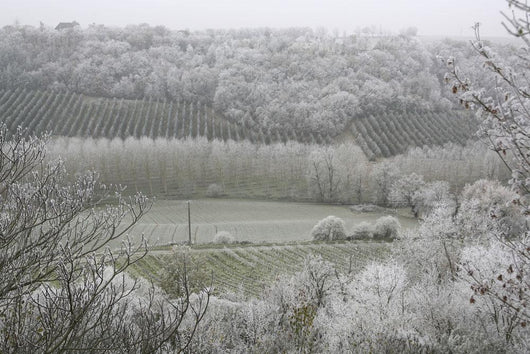 Morning Frost In December At Castelnau-Montratier Wall Mural