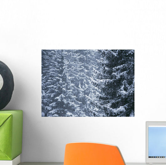 Pine Trees Covered In Snow, Les Arcs Wall Mural