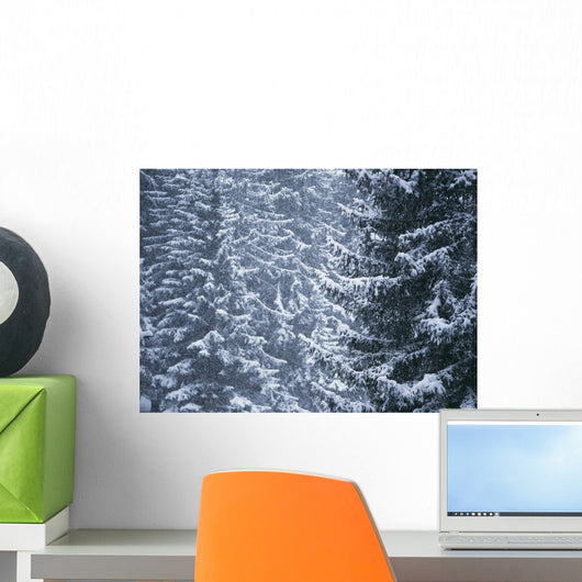 Pine Trees Covered In Snow, Les Arcs Wall Mural
