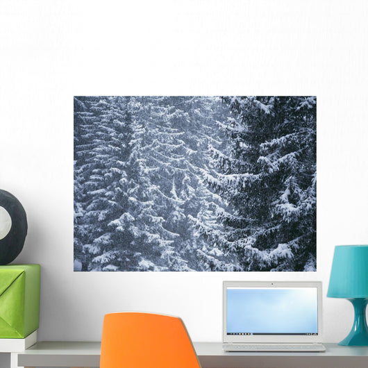 Pine Trees Covered In Snow, Les Arcs Wall Mural