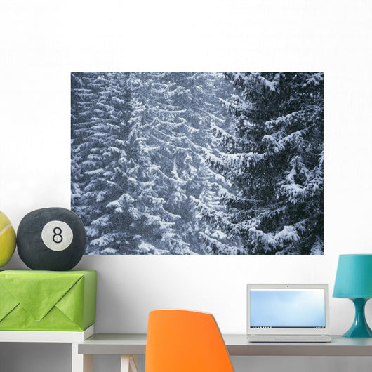 Pine Trees Covered In Snow, Les Arcs Wall Mural