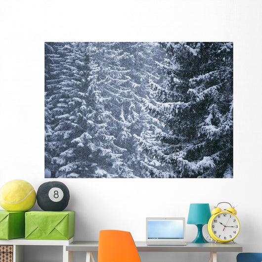 Pine Trees Covered In Snow, Les Arcs Wall Mural