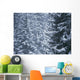 Pine Trees Covered In Snow, Les Arcs Wall Mural