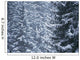 Pine Trees Covered In Snow, Les Arcs Wall Mural
