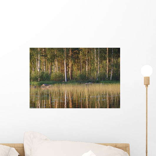 Landscape Wall Mural