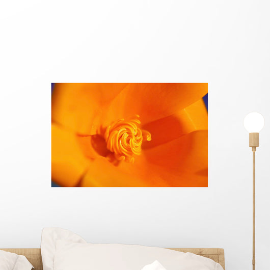 Close Up Of A Poppy Flower Wall Mural