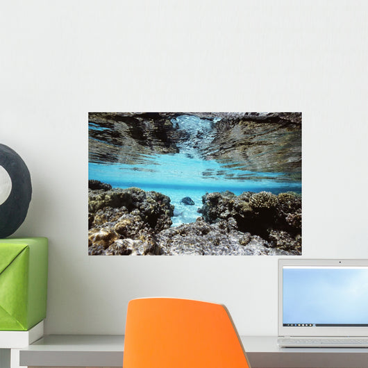 Sandy Lagoon And Reef Reflected In Calm Sea Wall Mural