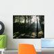Sun Shining Through The Trees Wall Mural
