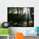 Sun Shining Through The Trees Wall Mural