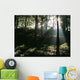 Sun Shining Through The Trees Wall Mural