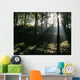 Sun Shining Through The Trees Wall Mural