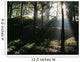 Sun Shining Through The Trees Wall Mural