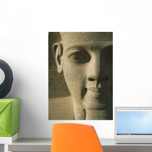 Detail Of Pharaoh Head Wall Mural