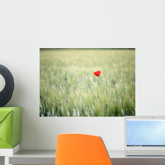Red Poppy In Wheat Field Wall Mural