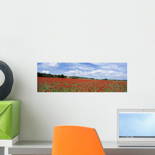 Looking Across Field Of Poppies To Small Village In Provence Wall Mural