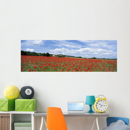 Looking Across Field Of Poppies To Small Village In Provence Wall Mural