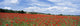Looking Across Field Of Poppies To Small Village In Provence Wall Mural