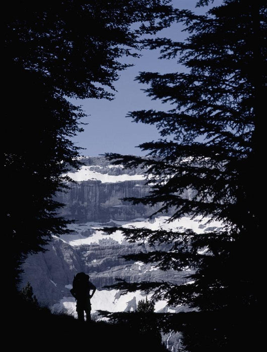 Walker Climbing Up Hill Between Trees With The Cirque De Gavarnie Wall Mural