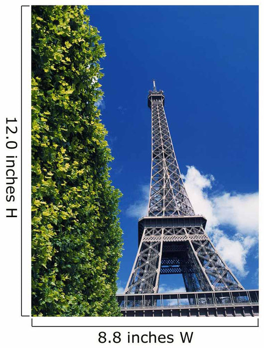 The Eiffel Tower And Shrub Wall Mural