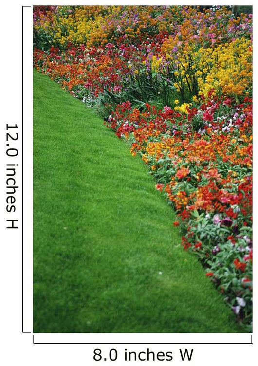 Colorful Flowers And Grass In Paris, Close-Up Wall Mural