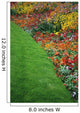 Colorful Flowers And Grass In Paris, Close-Up Wall Mural