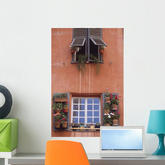 Plants On Window Sill Wall Mural