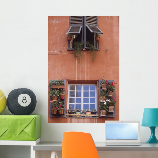 Plants On Window Sill Wall Mural