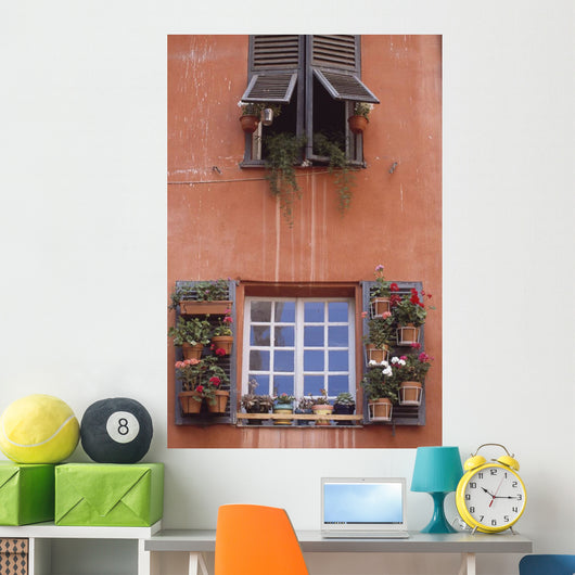 Plants On Window Sill Wall Mural