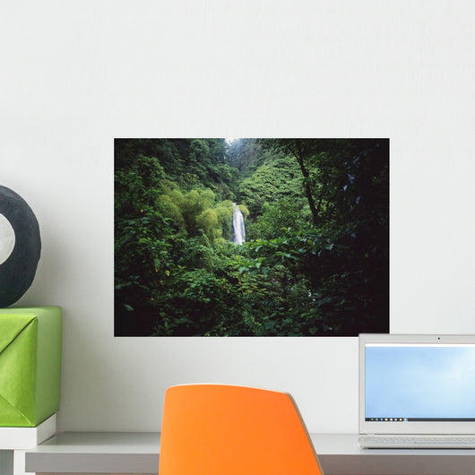 Trafalgar Falls Wall Mural