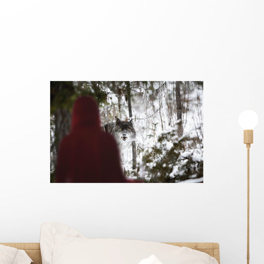 Little Red Riding Hood Looking At The Big Bad Wolf Wall Mural