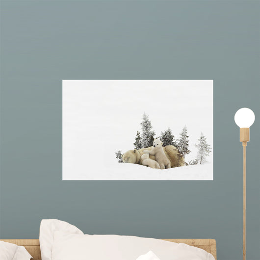 Polar Bear Mother And Her Cubs Playing Wall Mural
