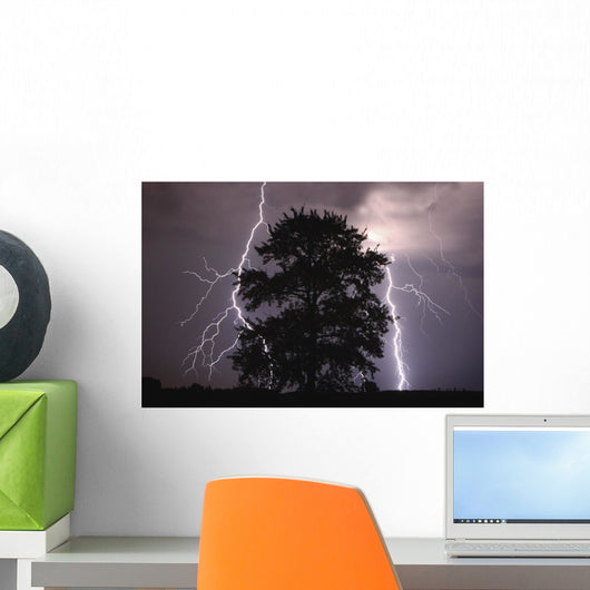Lightning Strikes In The Sky Behind A Tree Wall Mural