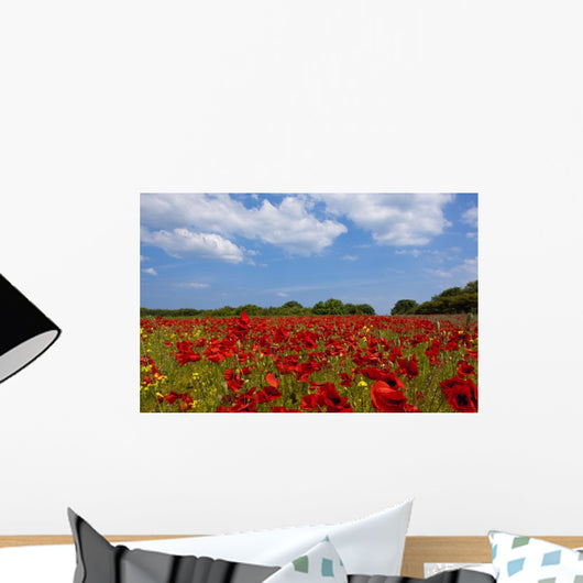 A Field Full Of Red Flowers Wall Mural