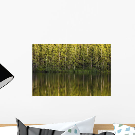 Trees Reflected In The Water Wall Mural