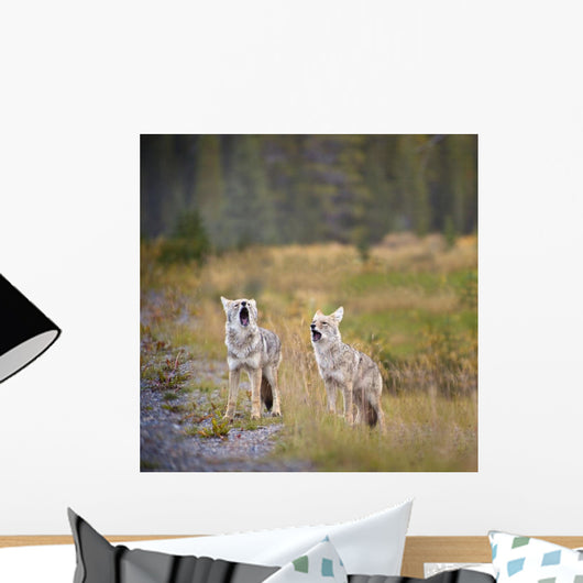 Howling Coyotes Wall Mural