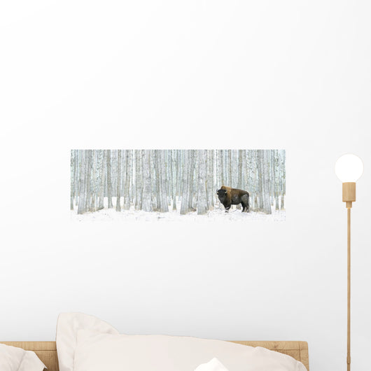 Buffalo Standing Wall Mural